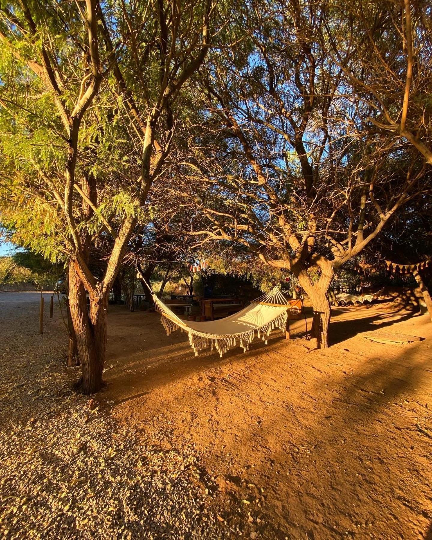 Caminandes Hostal Σαν Πέδρο ντε Ατακάμα Εξωτερικό φωτογραφία