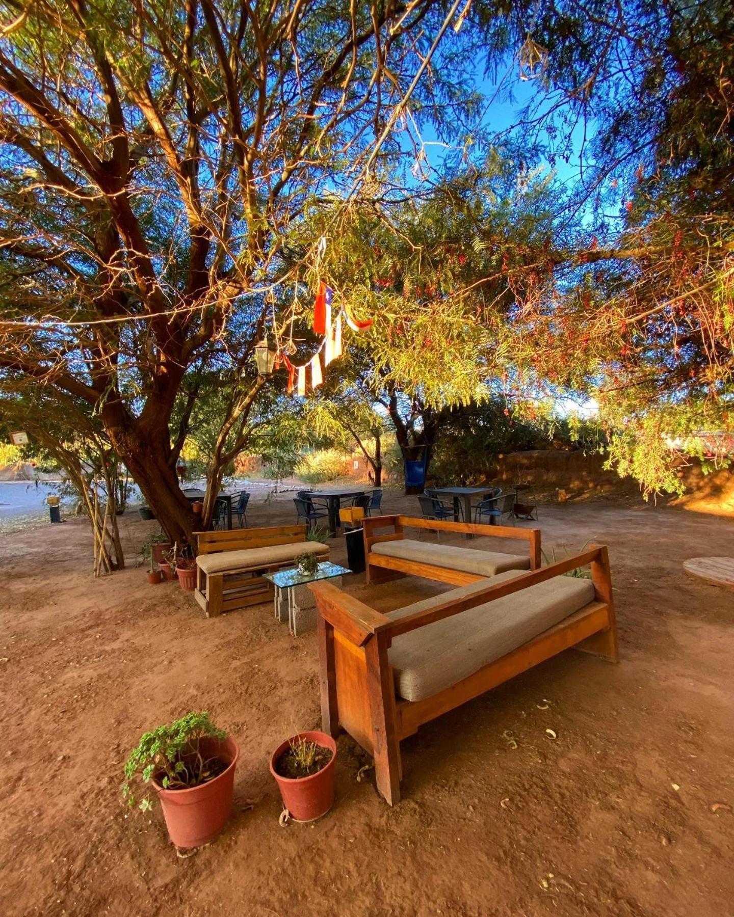 Caminandes Hostal Σαν Πέδρο ντε Ατακάμα Εξωτερικό φωτογραφία